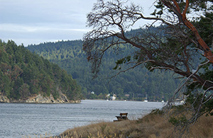 South Galiano Island (Nikon D1x Photos)