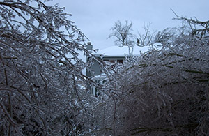 Our house as seen from the ice garden (A Very Frozen Day)