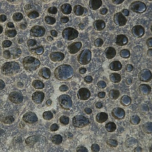 Seaside Bubbly Rock (David's Textures Gallery)
