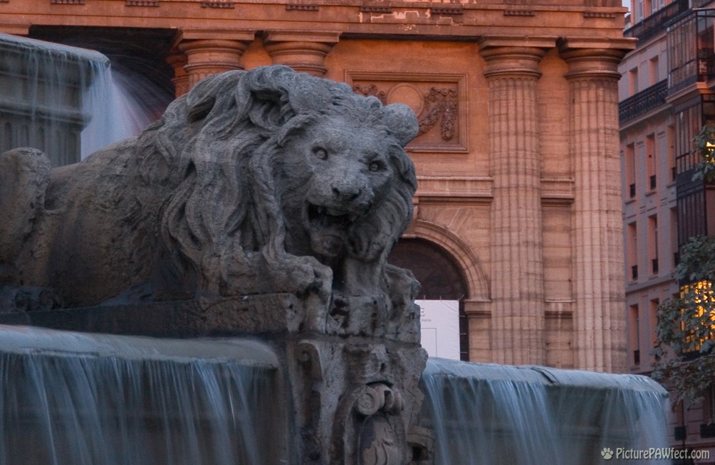 GRRRrrrrrrr...... (David's France Gallery)