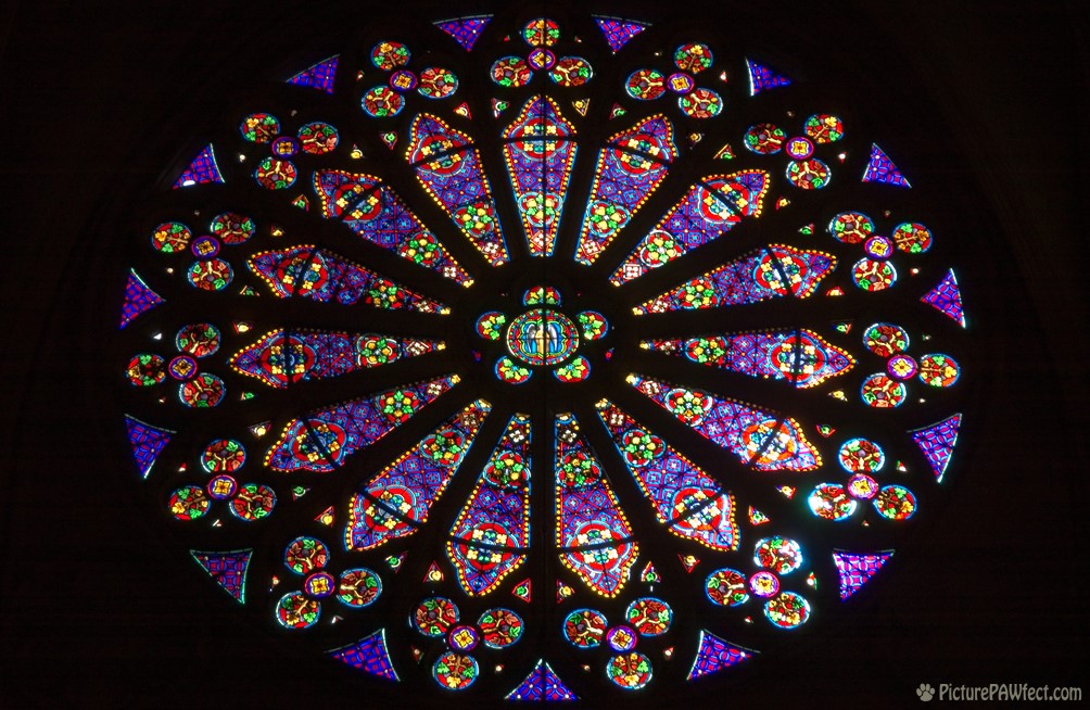 Rose window of the Basilique Sainte Clotilde (David's France Gallery) {Sainte Clotilde}