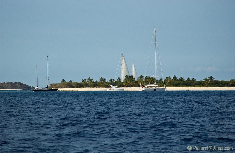 A small, sandy, reef island (with big sails!) (Sailing the British Virgin Islands)
