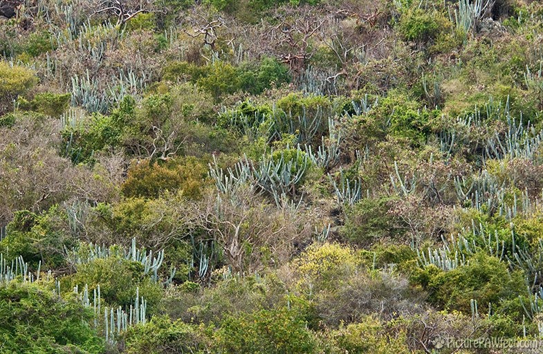 This 'tropical' scene is typical of many of the islands (Sailing the British Virgin Islands)