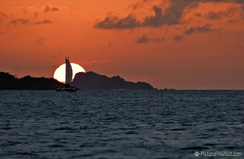 ...and time for Conch Fritters! (Sailing the British Virgin Islands)