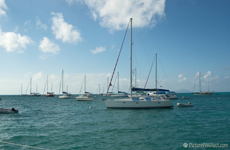 Here's where we moored for the night (Sailing the British Virgin Islands)