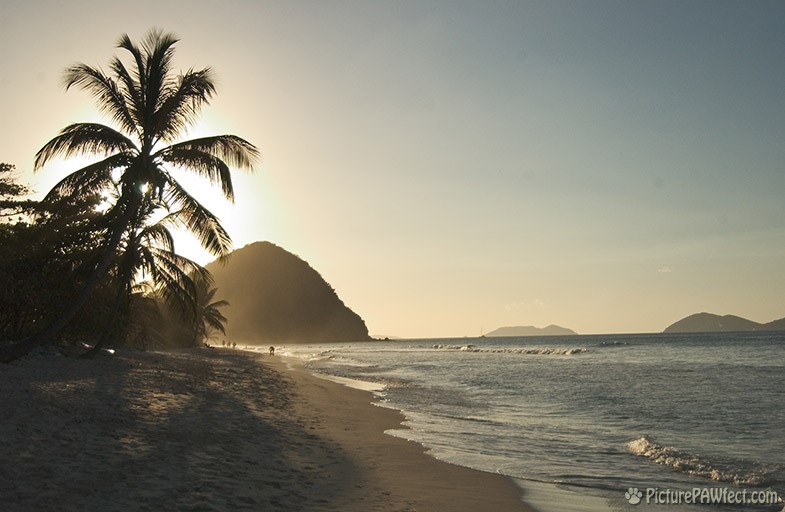 Long Beach, Tortola at sunset (Sailing the British Virgin Islands)