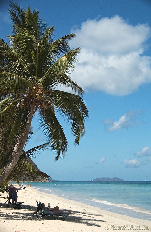 A busy afternoon (Sailing the British Virgin Islands)