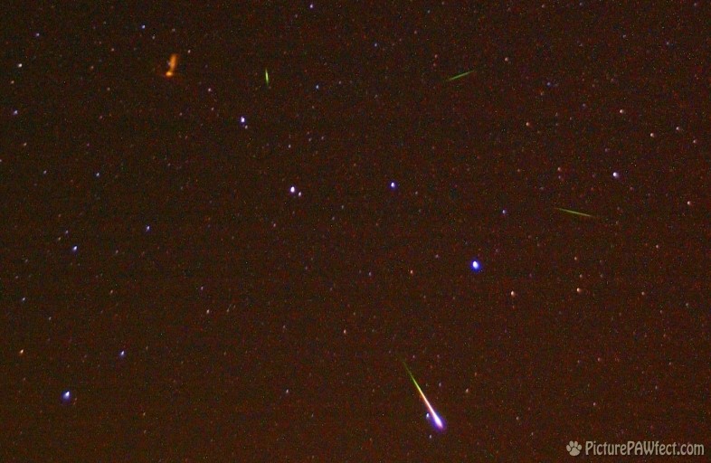 Leonid Meteor 2002 (Sky & Space Gallery)