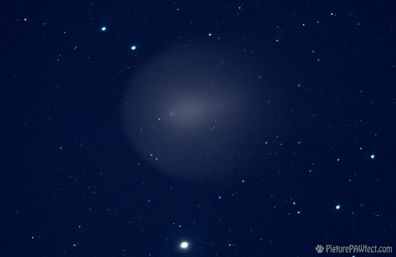 Comet Holmes 4 weeks after exploding (11/22) (Sky & Space Gallery)