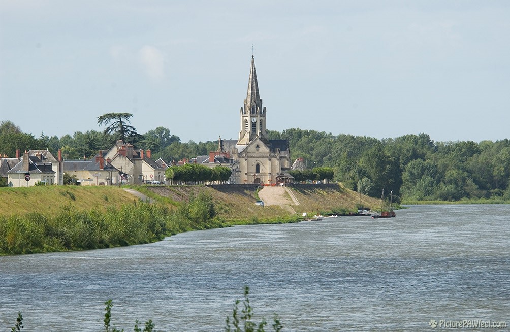 View from Chteauof the sleepy town of Langeais (David's France Gallery)