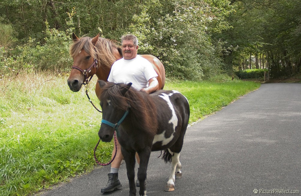 We saw this classic Frenchman walking his horses down a country road (David's France Gallery)