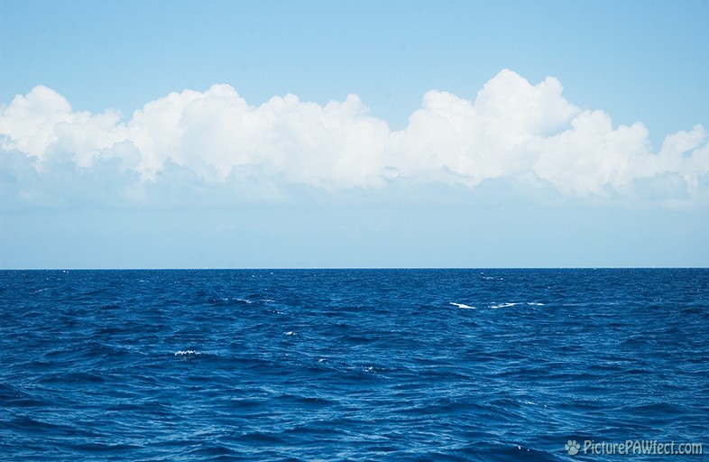 The Atlantic Ocean (Sailing the British Virgin Islands)
