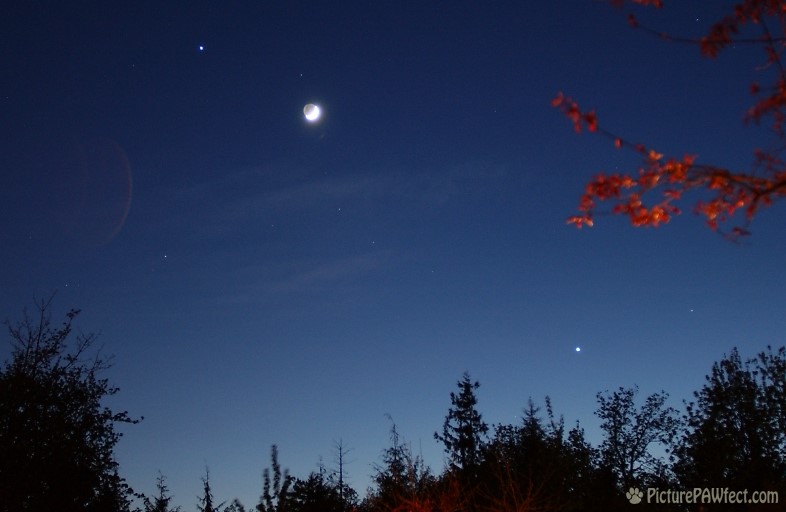 The Moon and Crescent Venus (Sky & Space Gallery)
