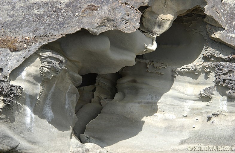 Puget Sound Limestone (Textures)