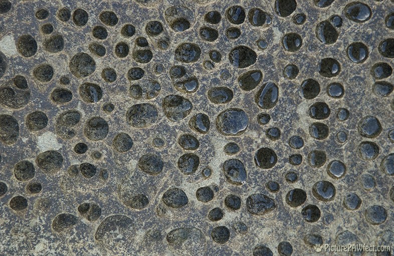 Seaside Bubbly Rock (Textures)