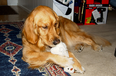 <center>She likes pulling bits off of her Christmas toys</center> (Genevieve's Late Summer/Fall in 2002)