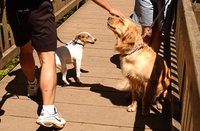 'Nice Doggy!'  She loves people more than dogs. (Genevieve's Late Summer/Fall in 2002)