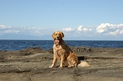 Portrait on Galliano Island, B.C. (Genevieve's Late Summer/Fall in 2002)