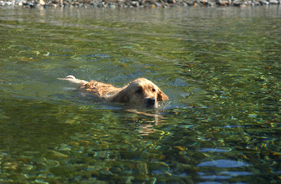 A cool and refreshing dip (Genevieve's Late Summer/Fall in 2002)