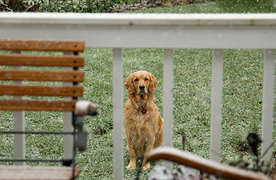 It's not <i>that</i> cold... come out and play! (Genevieve in 2003)