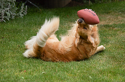 Summer sports (Genevieve in 2003)