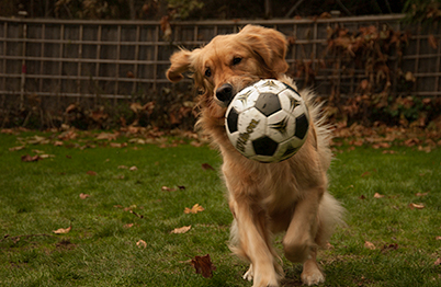 Gen's favorite sport (Genevieve in 2003)