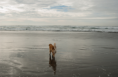 We went out to sea... (Genevieve in 2004)