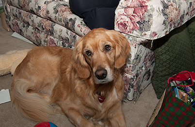 Time for Christmas (Genevieve in 2004)