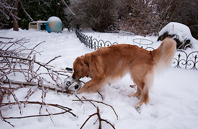 A very frozen soccer ball (Genevieve in 2004)