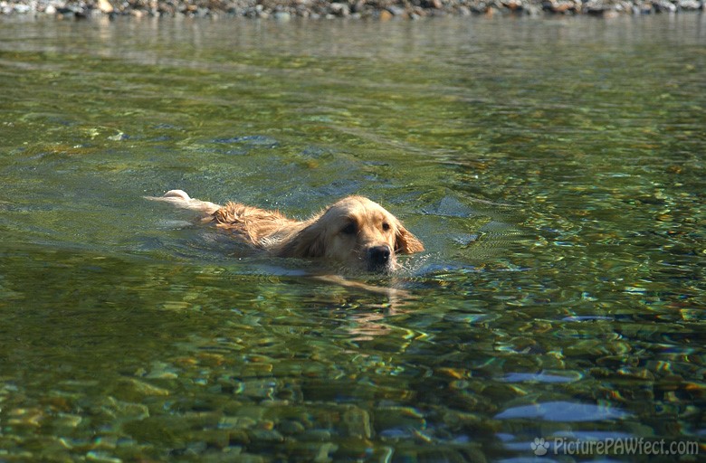 A cool and refreshing dip (Genevieve's Late Summer/Fall in 2002)