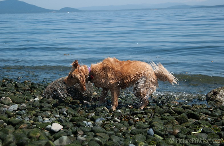 This summer we did a lot of swimming... (Genevieve in 2003)
