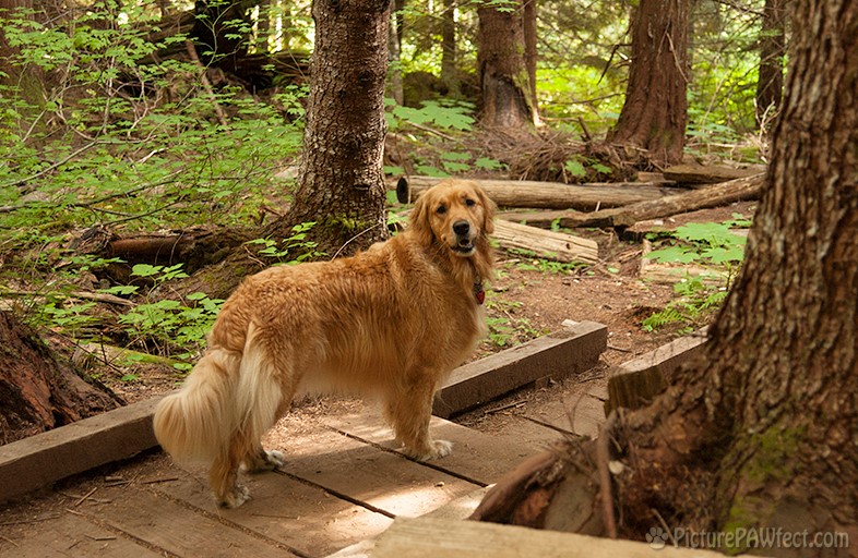 Boardwalks too. (Genevieve in 2003)