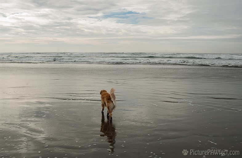 We went out to sea... (Genevieve in 2004)