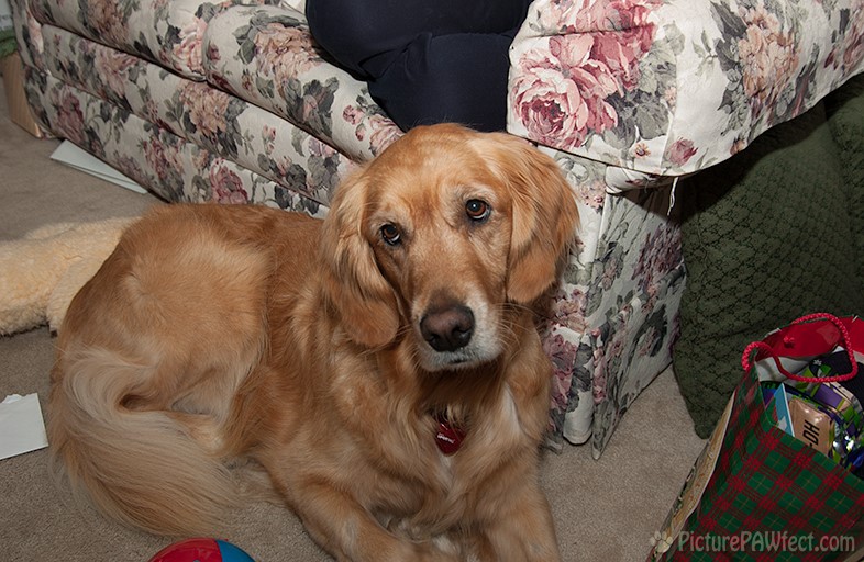 Time for Christmas (Genevieve in 2004)